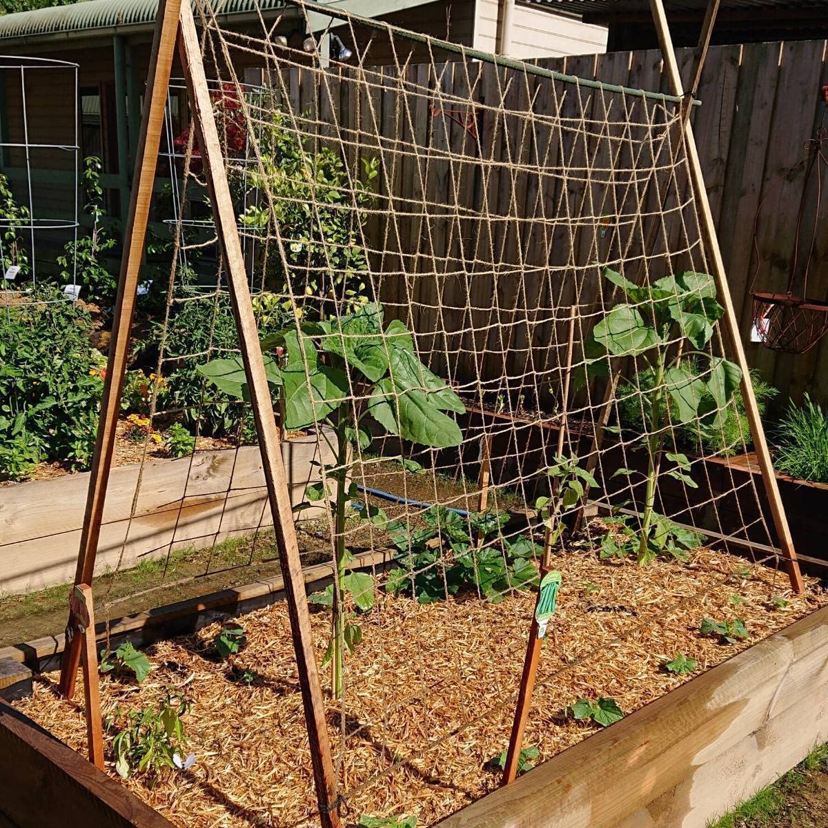 Jute Trellis Netting - Jute Netting for Garden, Heavy Duty Plant Support Netting for Climbing Plants, Cucumber, Vine, Fruits & Vegetables, Climbing Vining Plants (6.6 Ft x 9.8 Ft, 5.9 Inch Squares)