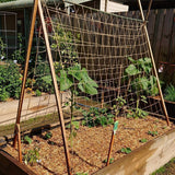 Jute Trellis Netting - Jute Netting for Garden, Heavy Duty Plant Support Netting for Climbing Plants, Cucumber, Vine, Fruits & Vegetables, Climbing Vining Plants (6.6 Ft x 9.8 Ft, 5.9 Inch Squares)