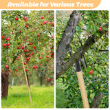 24Pcs Tree Branch Support, Metal Tree Crutch Device for Straightening Trees
