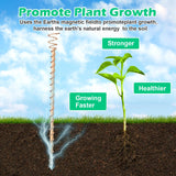 10pcs Electroculture Plant Stakes, 13.5''/17" Available Copper Coil Wire Antennas Garden Stakes, Tensor Rings Kit, Copper Rods Electronic Planting for Growing Vegetable Garden Plants Support
