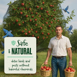 Dalen Bird-X Protective Mesh Netting for Fruit Trees & Berries - 28 x 28 ft