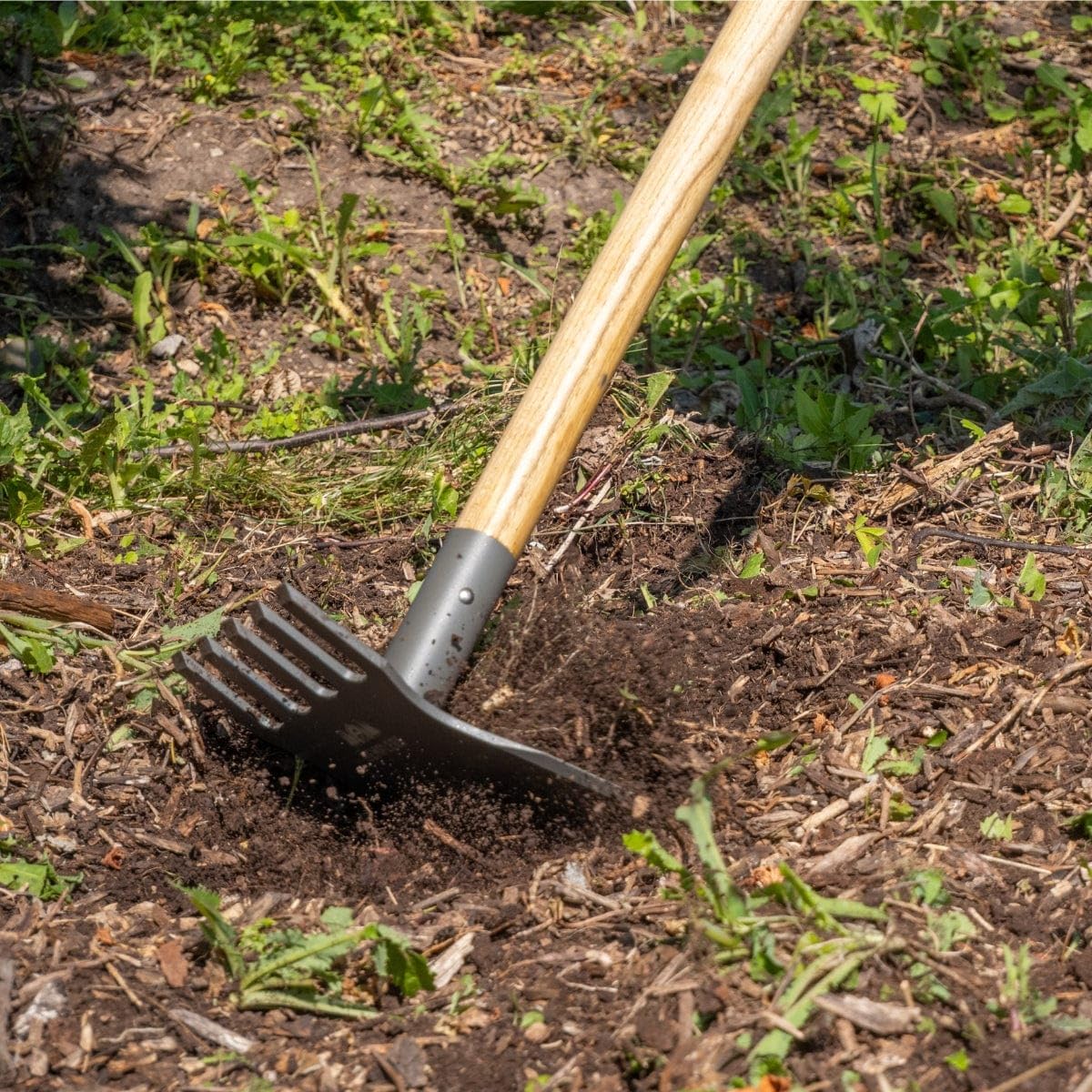 Gemplers Steel Rake Hoe with Wood Handle, 5 Wide Tines, Multi-Purpose Tool for Gardening, Planting, and Fire Prevention, Commercial Grade