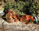 Slug Rings™ Copper Slug and Snail repellent Rings 17cm pack of 6