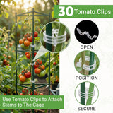 K-Brands Tomato Cage - Tomatoes Plant Stakes Support Cages Trellis for Garden and Pots (3 Pack - Extra Tall Upto 68 inches)