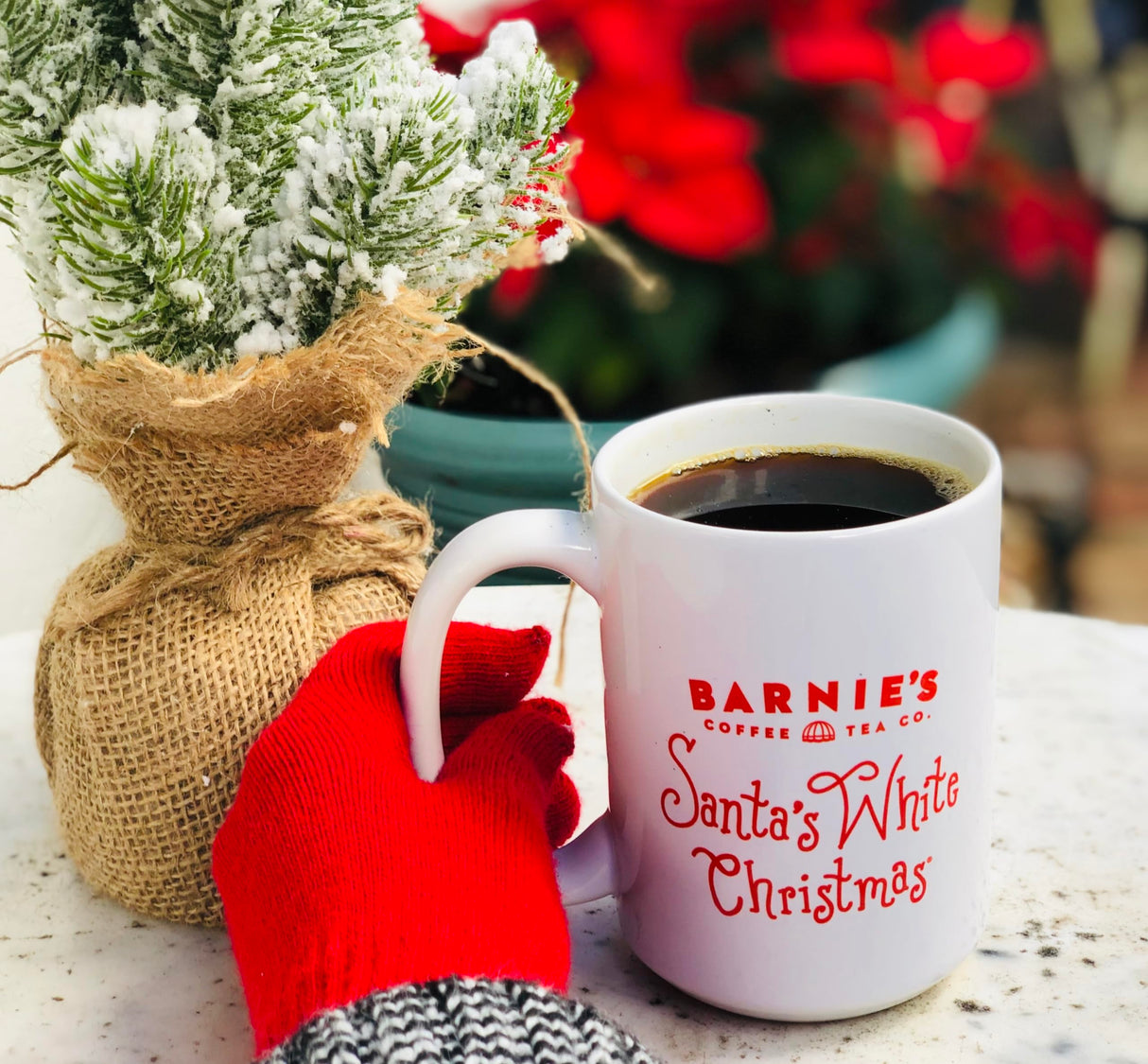 Barnie's Santa's White Christmas Coffee Pods Compatible with Keurig Brewers - A Festive Holiday Coffee Blend of Coconut, Vanilla, and Caramel Flavors - 48 count