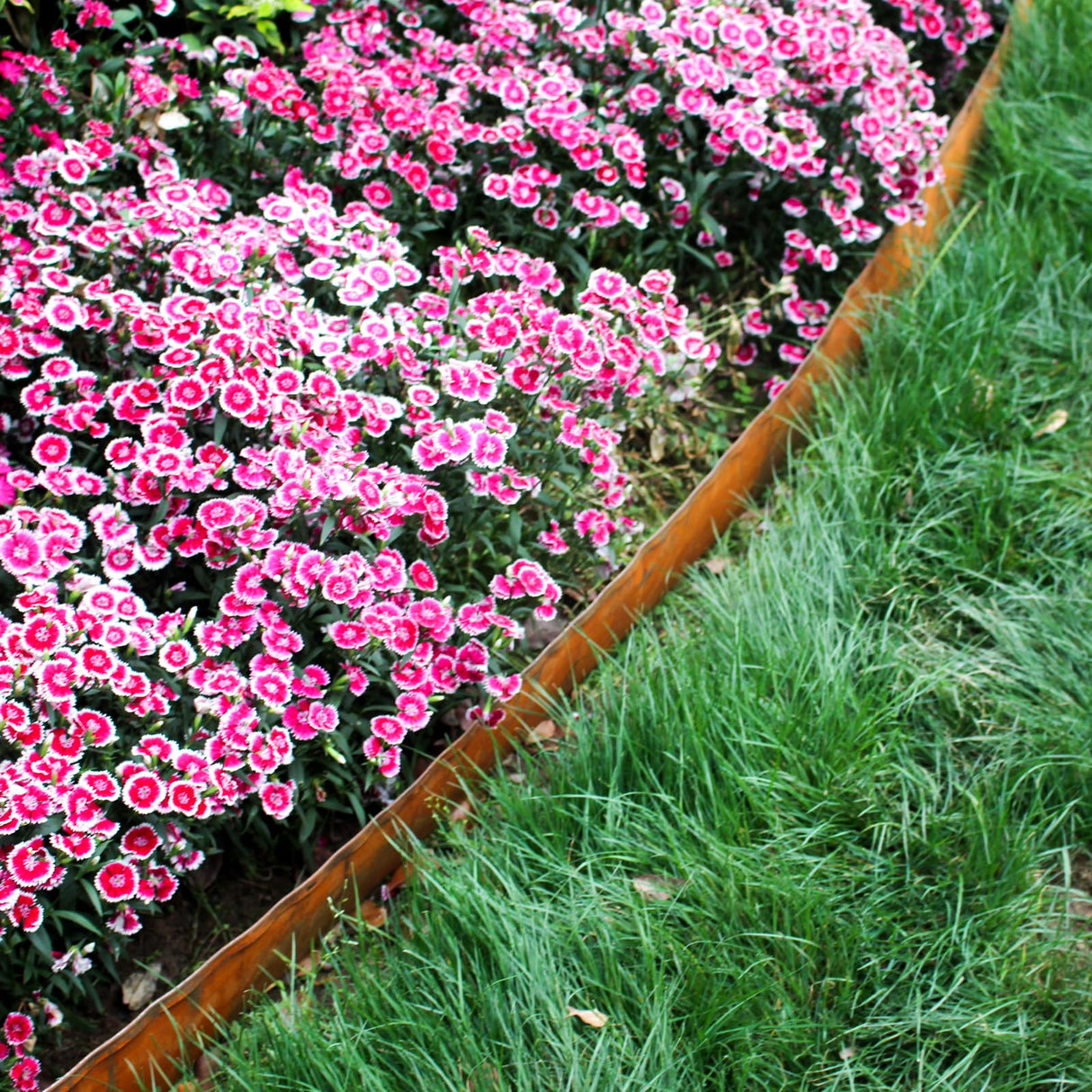 Meyoppm 32.8ft Cor-Ten Steel Landscape Edging, 5.5" H Garden Edging Border