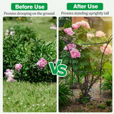 HEYTIMI 4 Pack Peony Cages and Supports Cages 13" D x 22.8" H Heavy Duty Metal Support Frame for Peonies & Roses Natural Bouquet Shape Garden Stakes for Outdoor Plants Flowers Ornamental (Black)