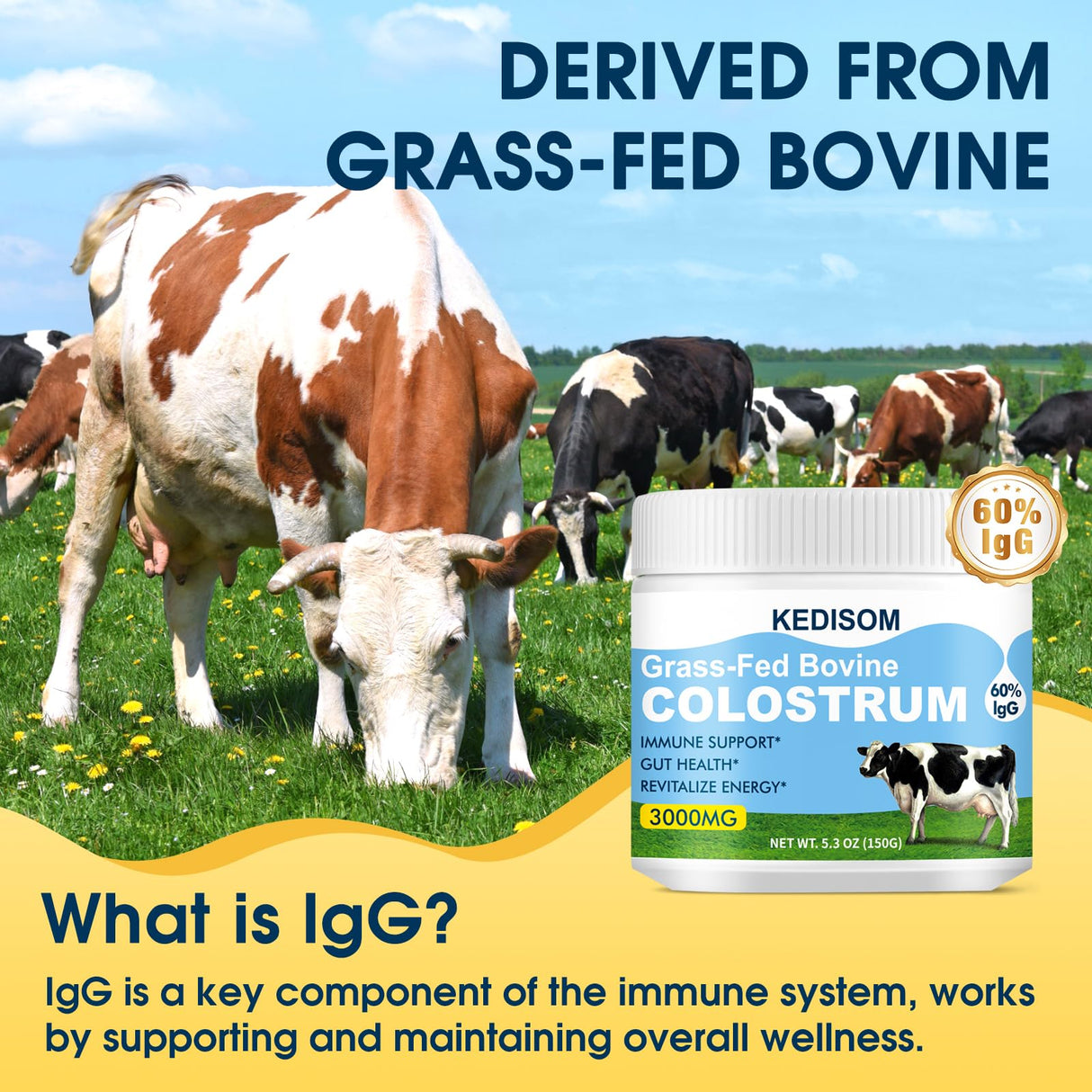 KEDISOM Grass-Fed Bovine Colostrum Supplement Powder - 60% High IgG 3000 mg for Gut Health, Immune Support - Easy to Mix Natural Liposomal Colostrum Superfood, Unflavored, 50 Servings