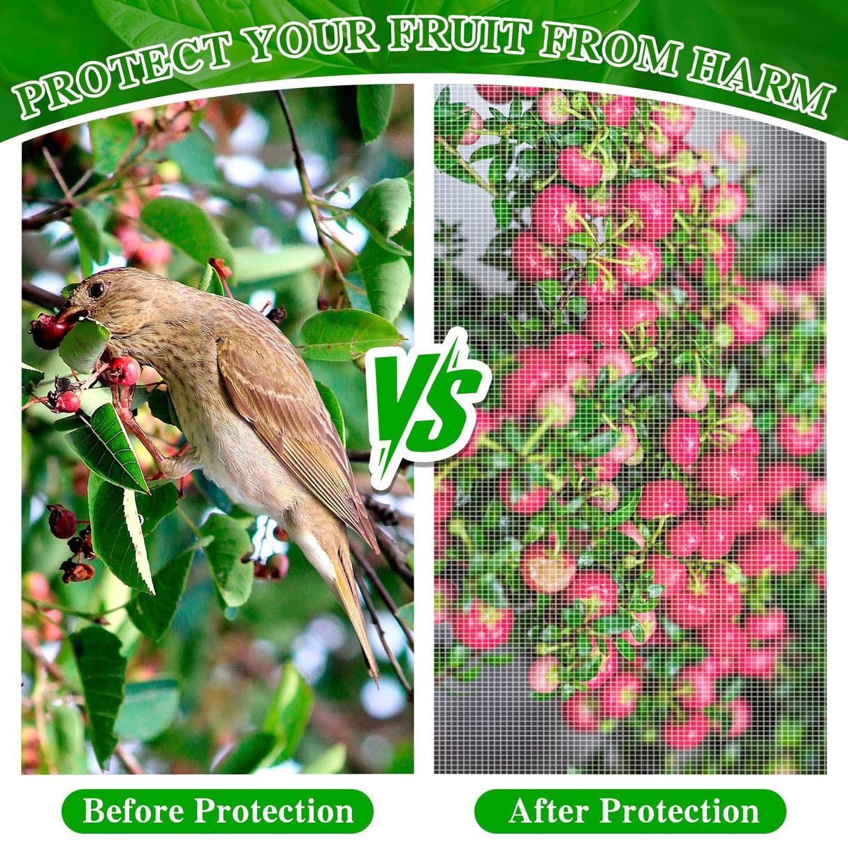 Large Fruit Orchard Netting, 6.56 x 6.56 FT Plant Netting with Zipper and Drawstring, Garden Netting to Protect Fruit from Anti Birds, Bugs, Cicadas, Insects