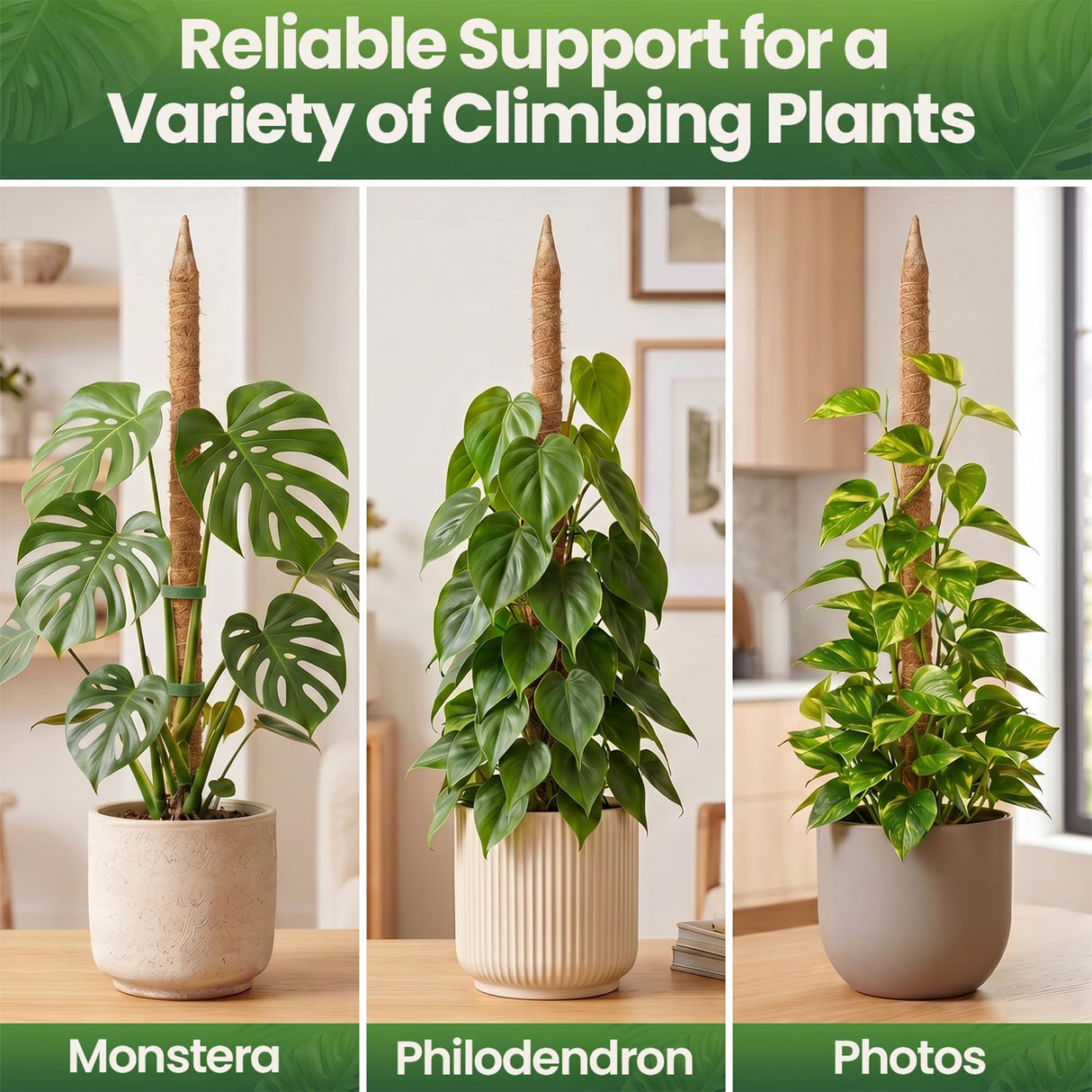 2 Pack 63'' Bendable Moss Pole Monstera Plant Support for Large Climbing Indoor Plants - Stakes for Potted Climbers - Tall Sticks Indoor Trellis for Houseplants - Accessories for Monstera Pot