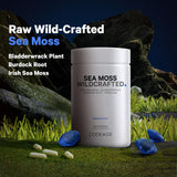Codeage Raw Wildcrafted Irish Sea Moss Supplement, Spirulina Algae, Bladderwrack Seaweed, Burdock Root, Black Pepper, Vegan, Non-GMO, 120 Capsules