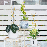 Yohsnor 3PCS DNA Plant Trellis Indoor & Outdoor,Metal Trellis for Pots
