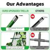 Garvee Outdoor Plant Support Trellis, 4 ft x 4 ft Metal A-Frame with Netting for Tomatoes Cucumbers Peas Beans Grapes, Climbing Vegetable Garden Trellis for Raised Beds, Green