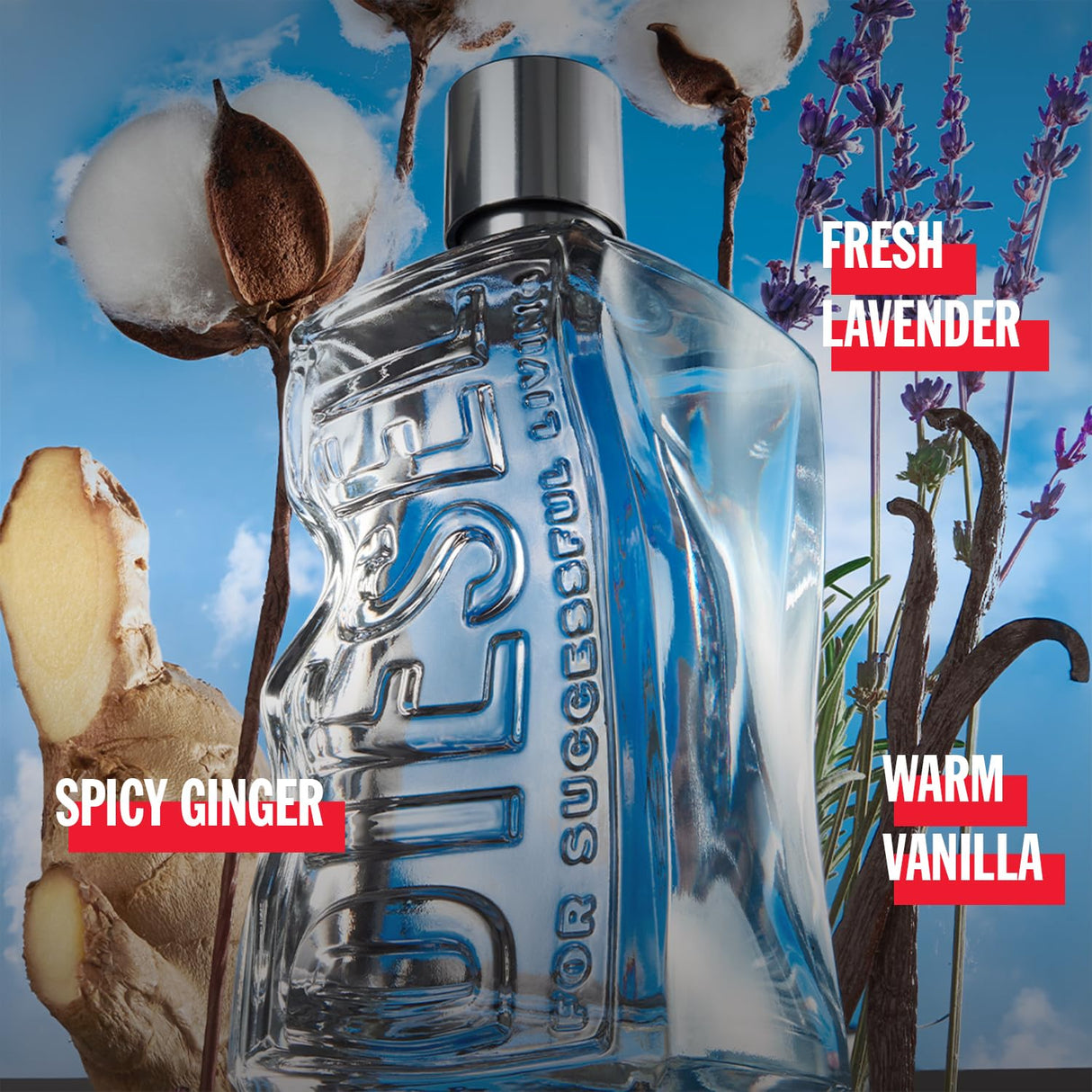 Diesel D By Diesel, Eau de Toilette for Men, Fougere & Amber Scent With Notes of Ginger, Bergamot, Lavender & Vanilla, 3.4 Fl. Oz.