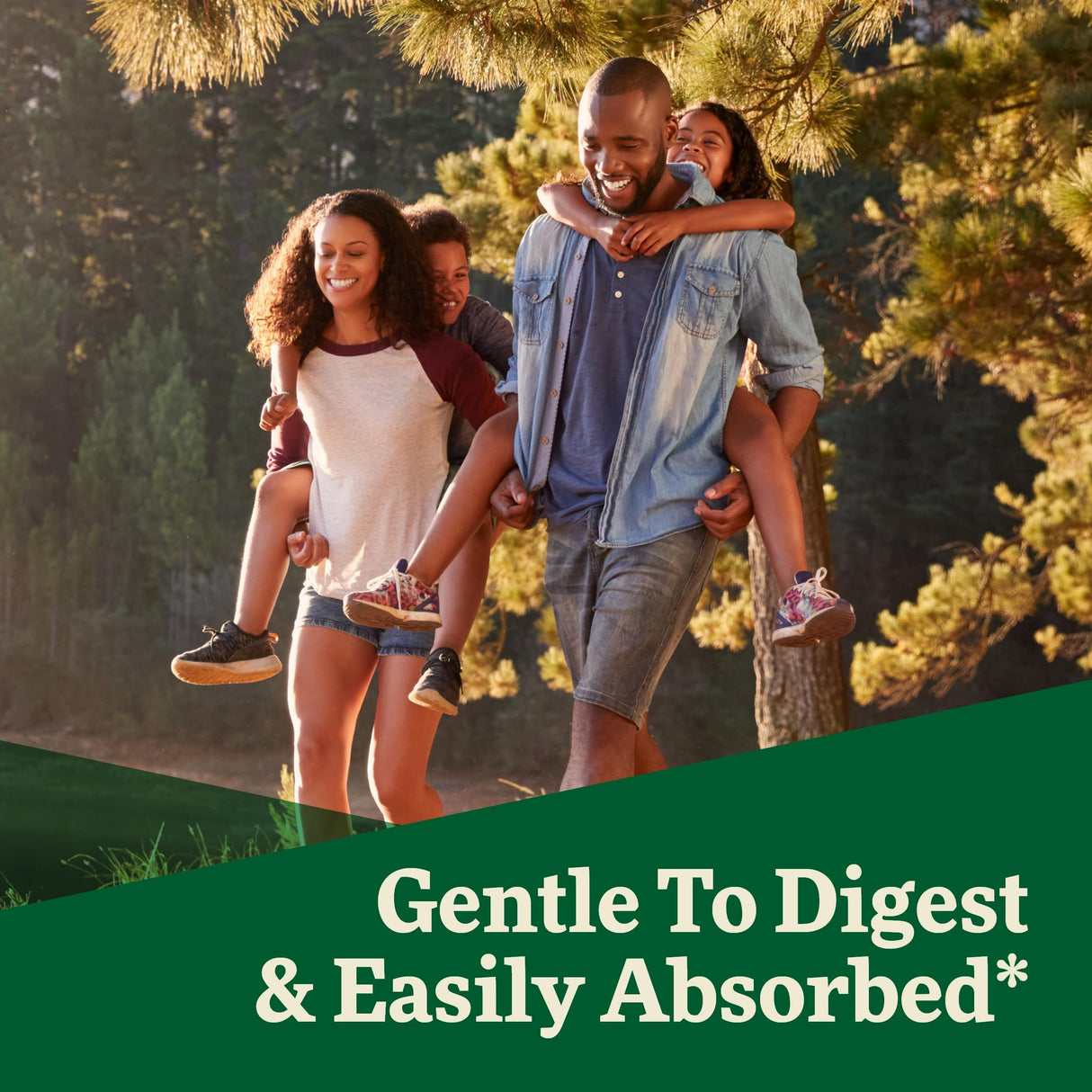 Floradix by Salus Iron & Herbs - Liquid Herbal Supplement for Energy Support* - Iron Supplement with Vitamin C & B Complex Vitamins - for Men & Women - 8.5 Fl Oz