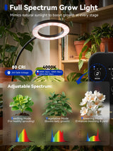 GLOWRIUM Grow Lights for Indoor Plants, 36W Full Spectrum 2-Head LED Plant Light with Stand, Adjustable Height, 3/9/12H Timer, 6 Dimmable Levels & 3 Lighting Modes(Black-Double Head)