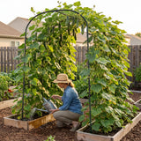 SUNYRISY 71" x 47" x 83" Garden Arch Trellis for Climbing Plants Outdoor