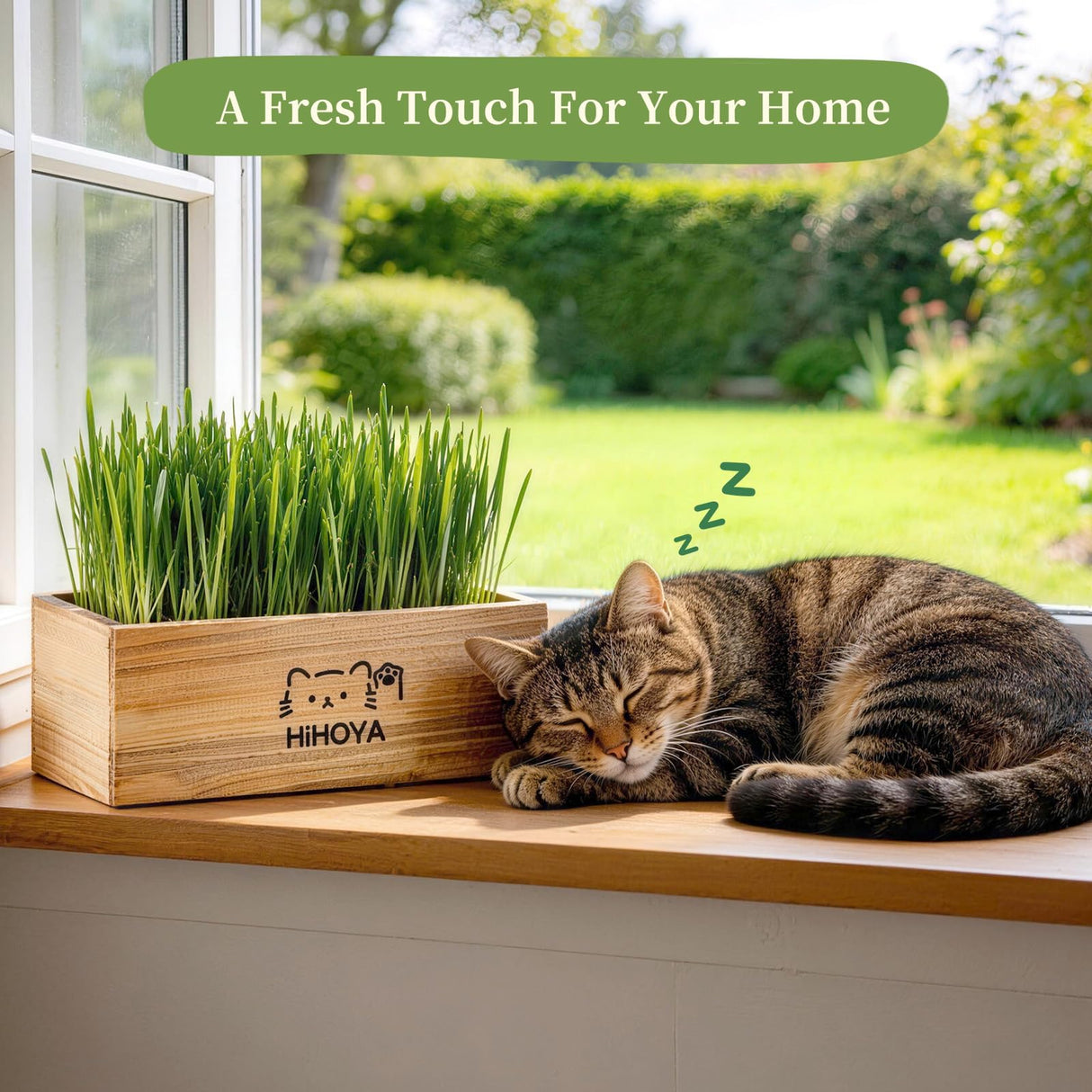 HiHOYA Cat Grass Kit for Indoor Cats - 5 Packets of Seeds, Cat Grass Planter Wooden Growing Kit, 5-Time Plant Starter Pack with 6 Soil Discs, Trimming Scissors, Spray Bottle, and Mini Tools