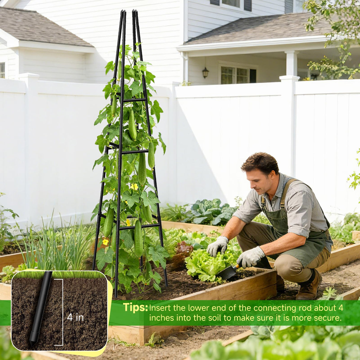 MQJIAZHI Garden Obelisk Trellis for Climbing Plants Outdoor, 63 Inch Height Adjustable Gardening Trellis, Steel Plastic Coated Plant Support for Indoor & Outdoor Multiple Climbing Plants(2PCS)