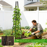 MQJIAZHI Garden Obelisk Trellis for Climbing Plants Outdoor, 63 Inch Height Adjustable Gardening Trellis, Steel Plastic Coated Plant Support for Indoor & Outdoor Multiple Climbing Plants(2PCS)