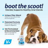 Glandex Dog Fiber Supplement Powder for Anal Glands with Pumpkin, Digestive Enzymes & Probiotics - Vet Recommended Healthy Bowels and Digestion - Boot The Scoot (Beef Liver, 2.5oz Powder)