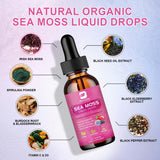B BEWORTHS Sea Moss Liquid Drops - Organic Black Seed Oil Irish Sea Moss Gel with Burdock Root, Bladderwrack, Elderberry, Vitamin C, D3, 6X Stronger Seamoss Gel for Digestive, Hair Health - Vegan