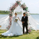 Heavy Duty Garden Arch Trellis for Climbing Plants Garden Arbor Arches