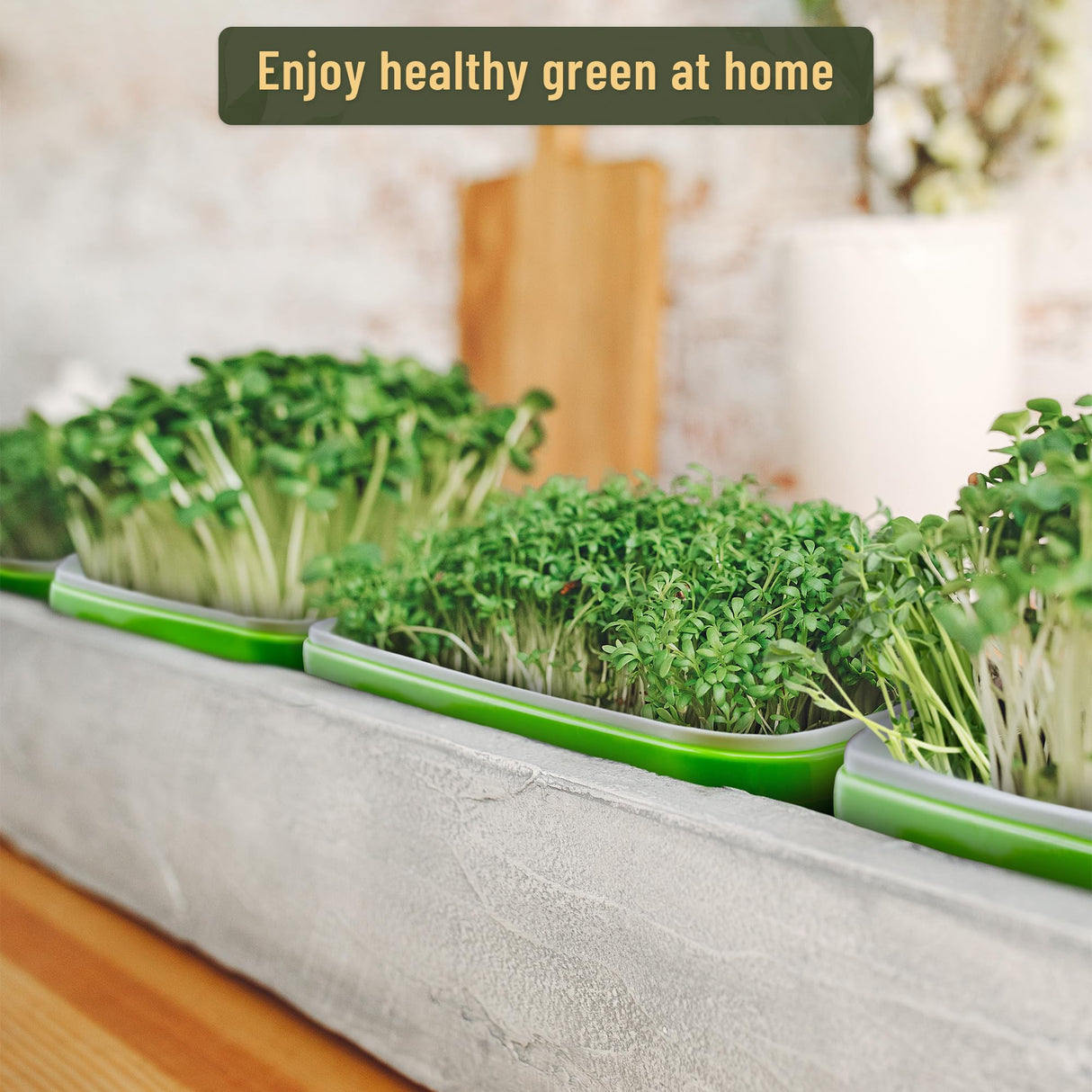 warmfarm Pack 10 of Seed Sprouter Tray with Drain Holes,Seed Germination Trays Kit BPA Free Nursery Tray,Soil-Free Wheatgrass Tray Sprouter Microgreens Growing Kit (Green-10 Pack)