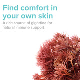 Vibrant Health, Gigartina Red Marine Algae, Plant-Based Immune Support, 60 Capsules