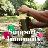 Amazing Grass Greens Blend Superfood: Greens Powder Mix for Energy, with Organic Spirulina, Chlorella, Beet Root Powder, Digestive Enzymes & Probiotics, Original, 30 Servings (Packaging May Vary)