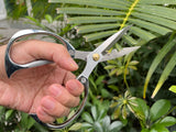 Horsvill Indoor Plant Shears Garden Scissors, Flower Pruners Made of Japan SK5 Stainless Steel, Flowers Herbs and Plant Cutters, Clippers, Trimmers, Loppers, Bonsai Potted Plant Pruning Scissors