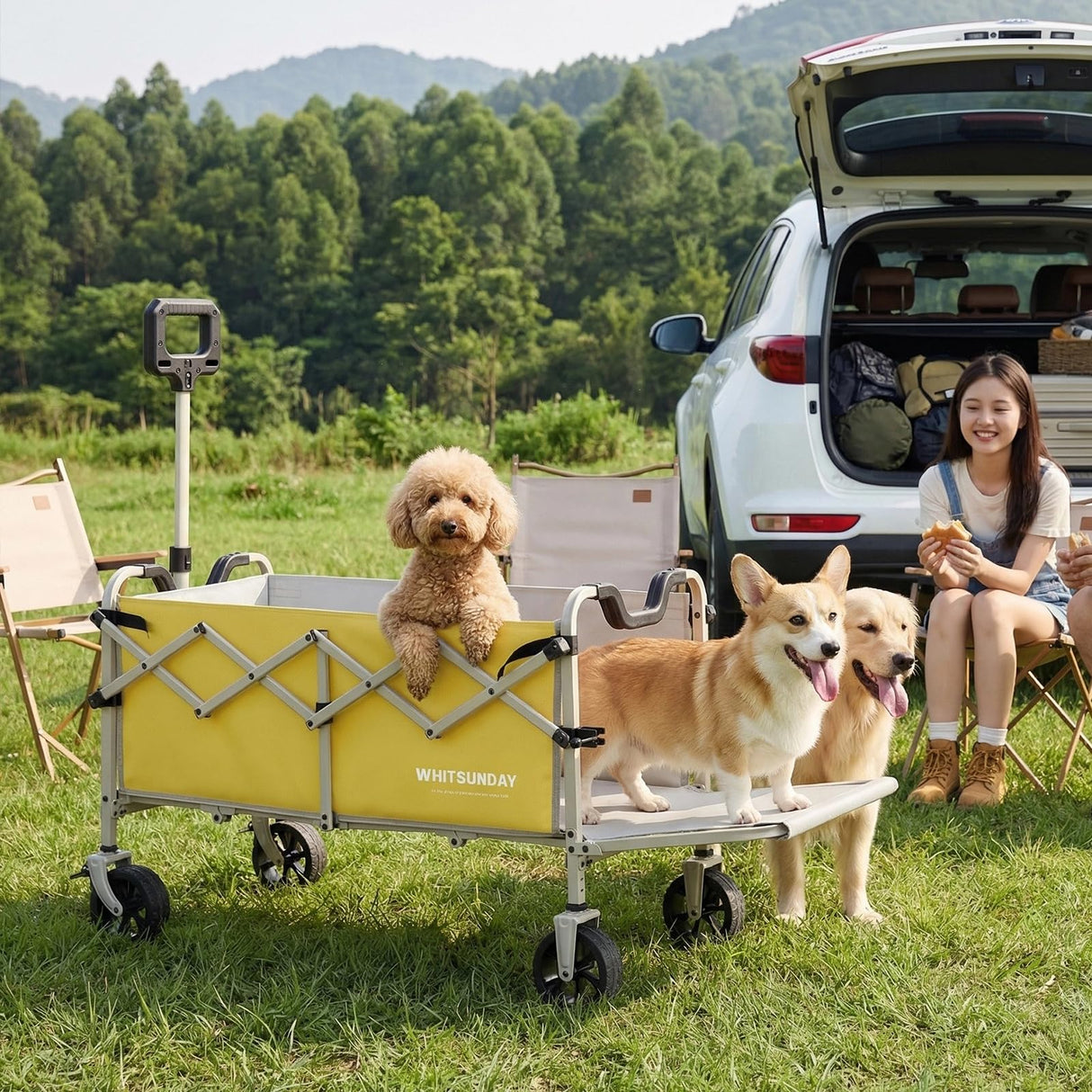 Collapsible Folding Wagon Cart, Heavy Duty Utility Wagons with Tailgate & Wheels,Portable Utility Cart for Camping,Garden,Beach,Sports Yellow
