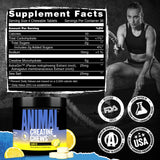 Animal Creatine Chews Tablets - Enhanced Creatine Monohydrate with AstraGin to Improve Absorption, Sea Salt for Added Pumps, Delicious and Convenient Chewable Tablets - Lemon Ice