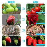 Hywyimlait Black Clip Grow Lights for Indoor Plants, 168 Full Spectrum LEDs Clip Plant Growing Lamps with Flexible Gooseneck and 4/8/12/18H Timer, 3 Spectral Modes, 10 Dimmable Levels (4 Head 1 Pack)