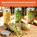 Sprouting Jars Kit, 2 Wide Mouth Mason Jars with 316 Stainless Steel Lids