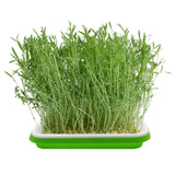 5 Layers Seed Starter Kit - Seed Sprouter Trays with Clear Lid & Stainless Steel Shelf, Soil-Free Germination Trays for Indoor/Outdoor Microgreens, Wheatgrass Mung Beans Cat Grass & Seedling Growing