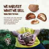 Forest Up The True Organic Brazil Nuts 15 oz Raw and Unsalted