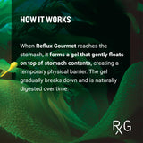 REFLUX GOURMET Natural Heartburn Acid Reflux Relief Support Supplement for GERD, LPR, Indigestion, Aid for Intermittent Fasting, Alginate Therapy, Single Serve 25 Pack, Mint Chocolate/Vanilla Caramel