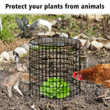 Hi Sasara 5 Sets Wire Plant Protectors Cage with Staples,11.8" Dia x 11.8" H,Plant Protector with Round Lids to Keep Animals Out,Wire Plant Protector Cage for Plants Vegetables Flower