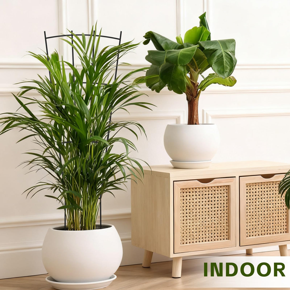 FAFTFTDY Trellis for Climbing Plants Indoor, 4 Pack 31'' Metal Plant Trellis Indoor for Potted Plants, Sturdy Plant Support Outdoor for Ivy Pothos Monstera Hoya Flower Vine, Fan Shape