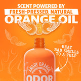 ANGRY ORANGE Pet Odor Eliminator for Dog and Cat Urine, Orange Rush, 24 oz