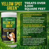 Yellow Spot Green™ Dog Urine Neutralizer for Lawns, Large 32 Ounce