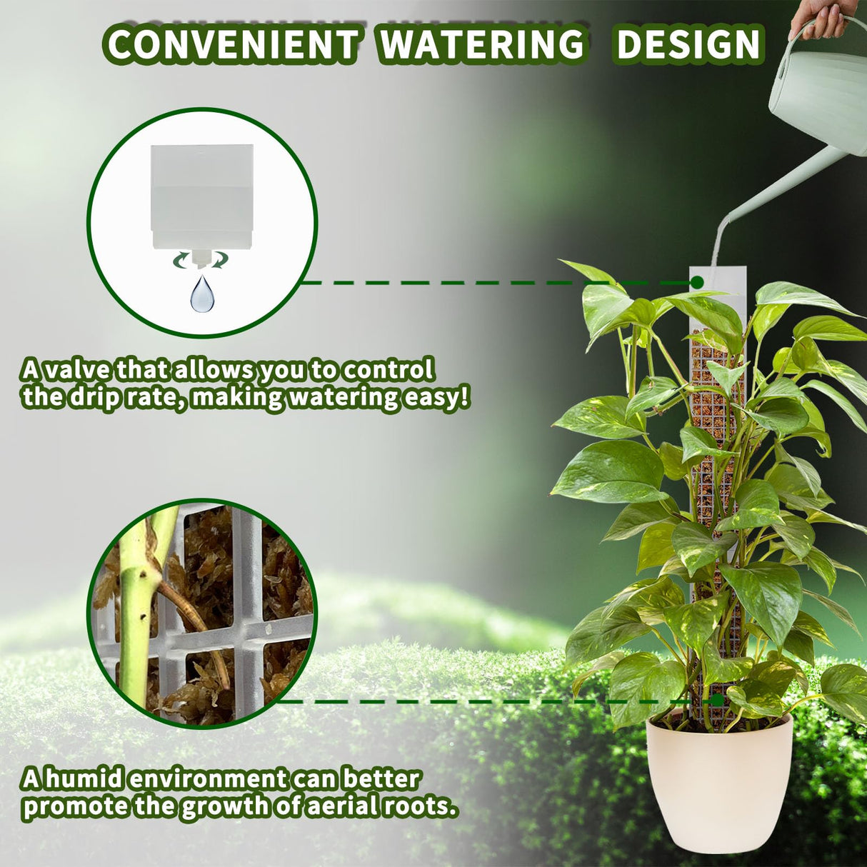 HYYZ 4PCS 18.7-Inch D-Shaped Self-Watering Moss Pole - Plastic Monstera Support for Indoor Climbing Plants. (4, White)