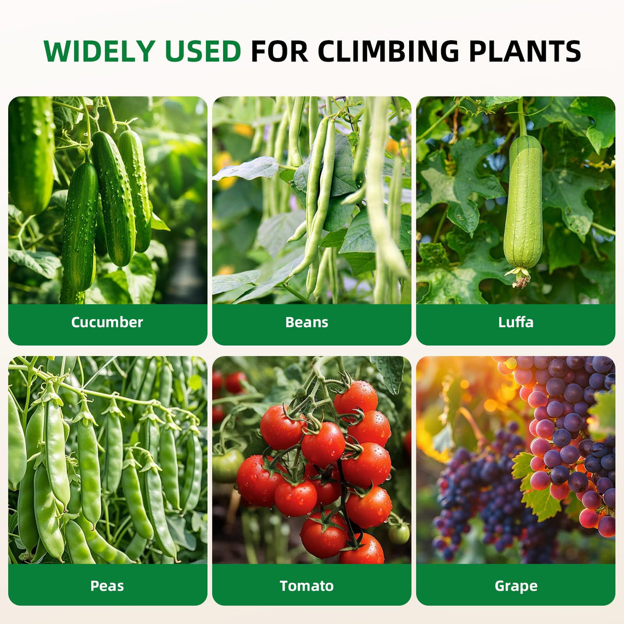 Laodier Cucumber Trellis for Raised Bed, U-Shape Garden Arch Metal Support for Climbing Plants, Metal Arch Plant Support Vegetables Trellis, Plant Support for Vine(Green, 63 * 30 * 47inch(L*W*H))