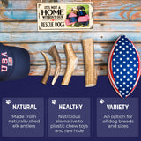 Devil Dog Pet Co Whole Elk Antlers for Dogs, Medium, Aggressive Chewers
