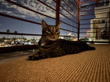 Patio Mosquito Netting, 10x13FT UV Resistant Bug Mesh for Balcony & Plants