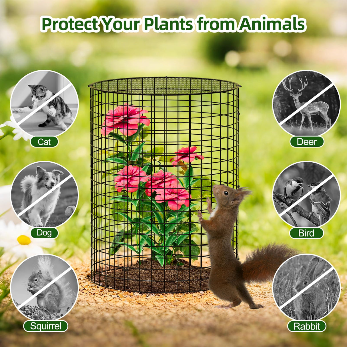 SPECILITE 10 Pack Plant Protector from Animals, 14"x16" Pre-Bent Wire Mesh