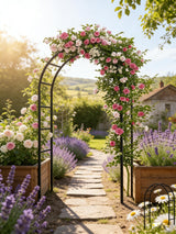 Thickened Tube Garden Arch,7.3ft Heavy-Duty Metal with 16mm Steel Tubes & 0.5mm Thickened Wall, Durable Outdoor Trellis for Climbing Plants,Roses,Garden Party,Ceremony & Decorations (Black)