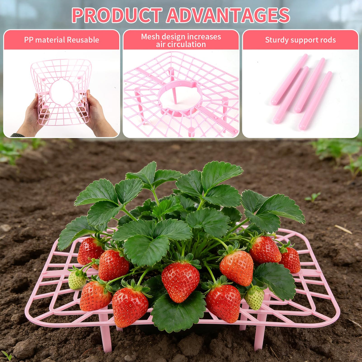 12 Pcs Garden Strawberry Supports Racks Strawberry Stand for Garden