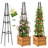 MQJIAZHI Garden Obelisk Trellis for Climbing Plants Outdoor, 63 Inch Height Adjustable Gardening Trellis, Steel Plastic Coated Plant Support for Indoor & Outdoor Multiple Climbing Plants(2PCS)